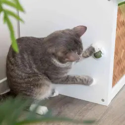 Bola De Catnip C/ Suporte Ø5 Cm Trixie #3 - 1040061204