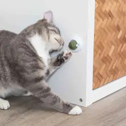 Bola De Catnip C/ Suporte Ø5 Cm Trixie #4 - 1040061204
