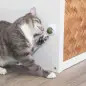 Bola De Catnip C/ Suporte Ø5 Cm Trixie