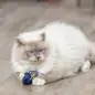 Animais Marinhos Em Pelucia C/ Catnip - 5-8cm 36 Uni Trixie