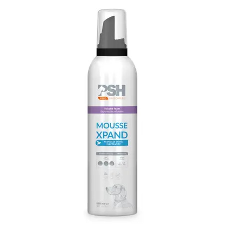 Psh - Mousse Xpand Foam 300 Ml PSH - 1050100223