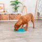 Placa "lick"n"snack" Em Silicone 30 Cm Trixie Placa "lick"n"snack" Em Silicone 30 Cm Trixie