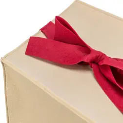 Gruta "present" 33x37x33 Cm castanho Claro Trixie #2 - 1040070530