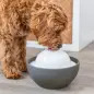 Bebedouro/fonte "vital Dome" 1,5 Lt cinzento/branco Trixie Bebedouro/fonte "vital Dome" 1,5 Lt cinzento/branco Trixie