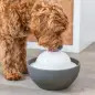 Bebedouro/fonte "vital Dome" 1,5 Lt cinzento/branco Trixie Bebedouro/fonte "vital Dome" 1,5 Lt cinzento/branco Trixie