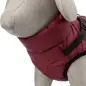 Capa "pirou" C/ Peitoral P/ Caes 24 Cm vinho Trixie Capa "pirou" C/ Peitoral P/ Caes 24 Cm vinho Trixie
