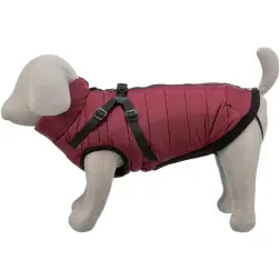 Capa "pirou" C/ Peitoral P/ Caes 24 Cm vinho Trixie #2 - 1040240917