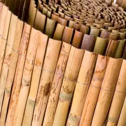 Caniço Meia Cana Natural Catral - 1x5mt - 1350270019
