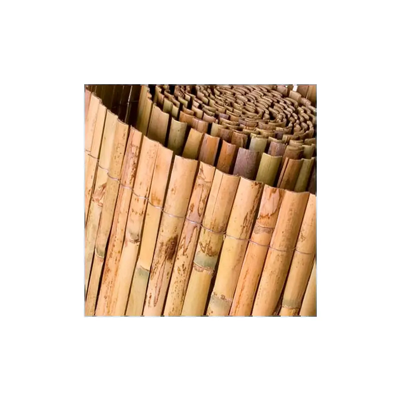 Caniço Meia Cana Natural Catral Caniço Meia Cana Natural Catral
