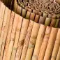 Caniço Meia Cana Natural Catral Caniço Meia Cana Natural Catral