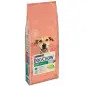 Ração Seca para Cão Dog Chow Light 14kg Purina Ração Seca para Cão Dog Chow Light 14kg Purina