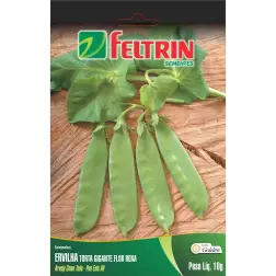 Sementes de Ervilha Gigante Flor Roxa Casa Cesar Santos - 1570080003