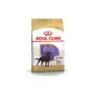 Ração Seca para Labrador Retriever Sterilized 12kg Royal Canin