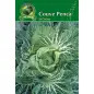 Sementes de Couve Penca de Chaves 17gr Germisem
