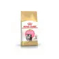 Ração Seca para Gato Persian Kitten Royal Canin Ração Seca para Gato Persian Kitten Royal Canin