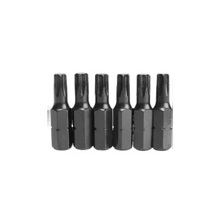 Conjunto 10 Bits Torx Inviolavel - 15x25mm - 1250860105