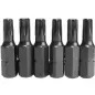 Conjunto 10 Bits Torx Inviolavel