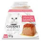 Ração Húmida para Gato Gourmet Revelations Mousse Salmão Pack 4un Purina Ração Húmida para Gato Gourmet Revelations Mousse Salmão Pack 4un Purina