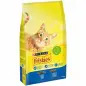 Ração Seca para Gato Adulto com Coelho e Frango 1,5kg Friskies Ração Seca para Gato Adulto com Coelho e Frango 1,5kg Friskies