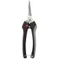 Tesoura Vindima Recoletora Inox 3624 CE MB Bellota Tesoura Vindima Recoletora Inox 3624 CE MB Bellota