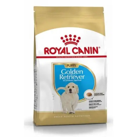 Ração Seca para Golden Retriever Junior 12kg Royal Canin - 1530030084