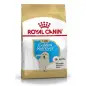 Ração Seca para Golden Retriever Junior 12kg Royal Canin