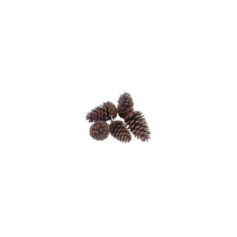 Saco de Pinhas 3kg CarvoAveiro