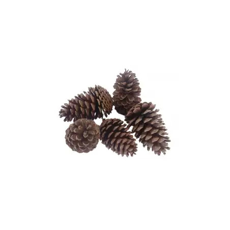 Saco de Pinhas 3kg CarvoAveiro - 1440060001