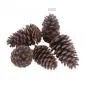 Saco de Pinhas 3kg CarvoAveiro