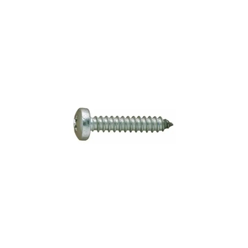 Parafuso Chapa com Quadra PH Inox A2 DIN7981 100un Valpec