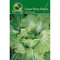 Sementes de Couve Penca Pão Açúcar 10gr Germisem - 0210266106