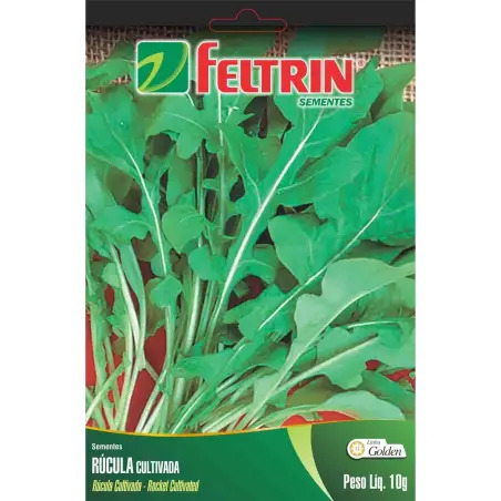 Sementes de Rúcula Cultivada 10gr Casa Cesar Santos - 0210403106