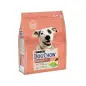 Ração Seca para Cão Dog Chow Sensitive 2,5kg Purina