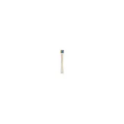 Poleiro Madeira 40cm 81554 Living World - 1040190032