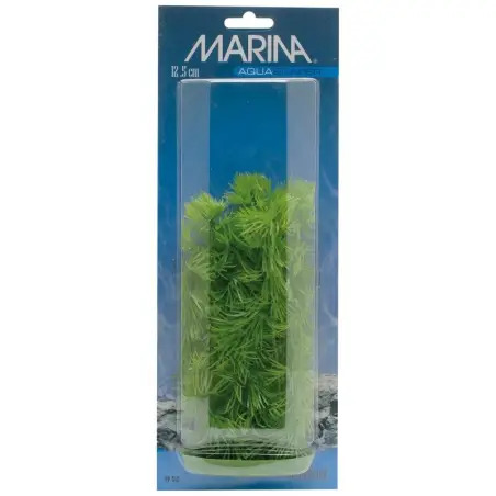 Planta Decorativa Hornworkt 12,5cm para Aquário Marina - 1040350145