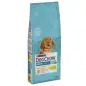 Ração Seca para Cão Junior Dog Chow Puppy com Frango & Arroz 14kg Purina