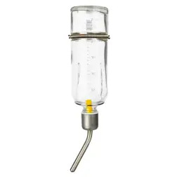 Bebedouro Esfera Em Vidro P/ Porq. Da India - 250 Ml Trixie - 1040090488