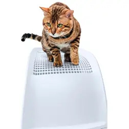 Toilete "frida" c/ Entrada Superior P/ Gatos Imac #4 - 1050130044