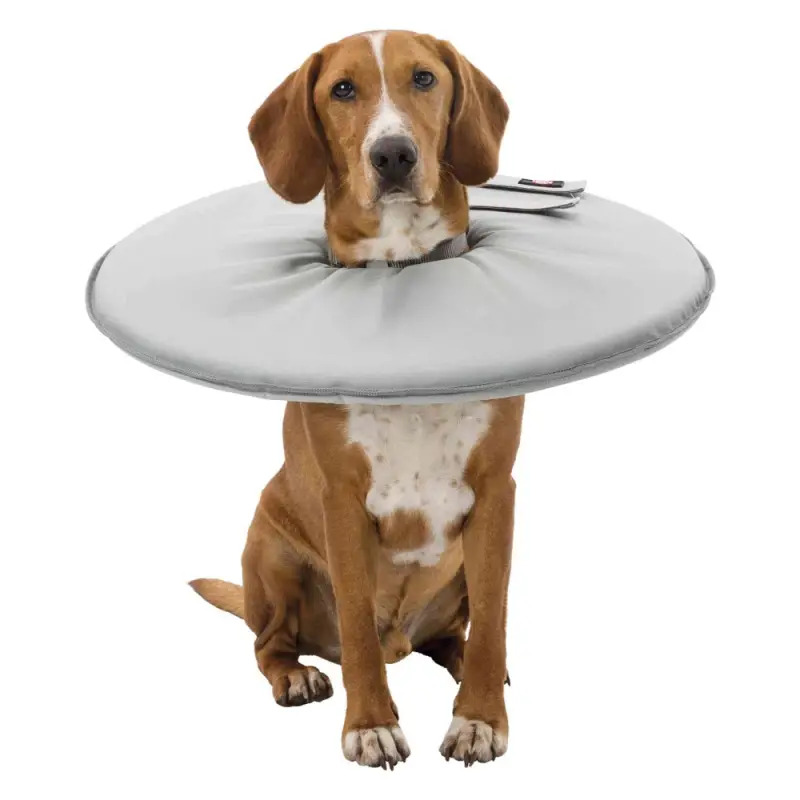 Colar Isabelino Flexível em Polyester para Cães Colar Isabelino Flexível em Polyester para Cães