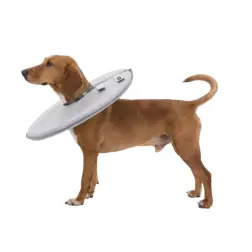 Colar Isabelino Flexível em Polyester para Cães - XS #1 - 1040240197