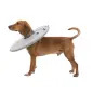 Colar Isabelino Flexível em Polyester para Cães Colar Isabelino Flexível em Polyester para Cães