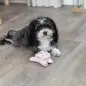 Coelho Em Pelucia - 12 Cm Trixie