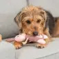 Lebrao Em Tecido/pelucia 24 Cm Trixie