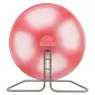 Roda em Plástico com Suporte para Roedores Roda em Plástico com Suporte para Roedores