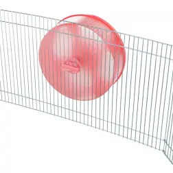 Roda em Plástico com Suporte para Roedores - 20cm #4 - 1040060874