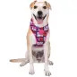 Colete Peitoral "Mesh" Rosa/Frames Snoopy