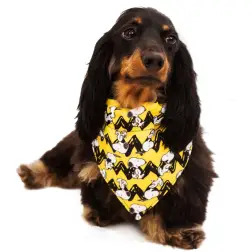 Bandana Snoopy amarelo/c.b. - Tam. S Snoopy - 1040240668