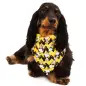 Bandana Snoopy amarelo/c.b. - Tam. S Snoopy