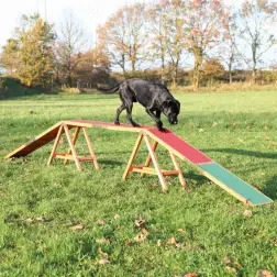 Dogwalk P/ Agility 456x64x30 Cm Trixie - 1040061463