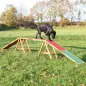 Dogwalk P/ Agility 456x64x30 Cm Trixie